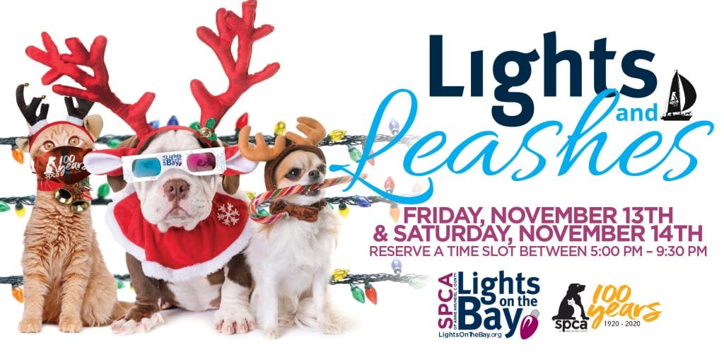 SPCA of Anne Arundel County Lights on the Bay Sandy Point State Park